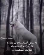 حکایت خیلی از دور و وریا مون......
