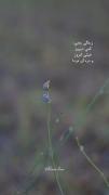 در حالی زندگی میکنیم ک کمی گذشته توی دخالت داره و غیر مستقیم آینده 