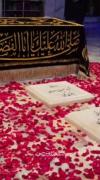 هنوز نمیشه باورم‌........]]]]]. 