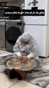 وقتی یه بار تو دعوا طرف باباتو می گیری🤣
