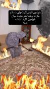 استوری طنز فکت حق . . ‌. 