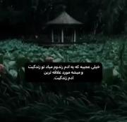عشق در یک نگاه - عشق لحظه ای - 