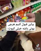 پونی / حق ++++++ ‌‌ ‌