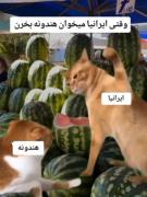 وایی پاره شدمممممممممممممممممممممم🤯🤪🤪🤣🤣🤣🤣😂😂😂😂🤣🤣🤣🤣🤣🤣