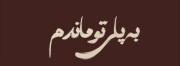 حالا چه کنیم با غم آهنگات غمه خیلییی سنگینیه واقعا🖤