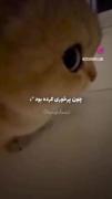 پیشی کوچولوی بیچارههه ی منننن ^^