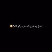 نسخ یه نفرم کِ منو درکم کنه :)