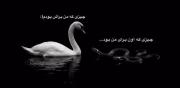 عادلانه نبود!..................