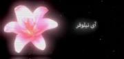 ای دختر صحرا.... 🌸 ...........