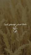 و من خوشبختی را در حرم شما احساس کردم🫵🏻🥹🌱❤️‍🩹