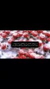 بابایی روزت مبارک،قهرمان بی ادعای زندگی من