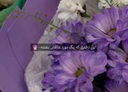 ولیییی رنگ بنفش تااا ابدددد>>>>>