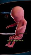 قرإن ✨🤍‌‌‌‌‌‌‌‌‌‌‌‌‌‌‌‌‌‌‌‌‌‌‌