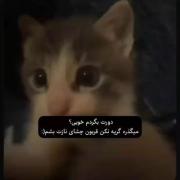 تقدیم به همه شما نانازاممممم(: 