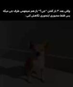 حَــــــــــق ترین چیز ممکن🤣🤣