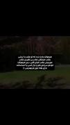 اگه‌دوست‌داشتی‌‌دنبال‌کن‌در‌دنبال‌کردن‌اجباری‌نیست