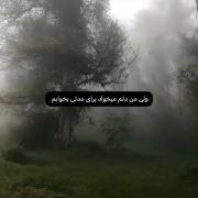 دلم‌میخواد‌برای‌مدتی‌بخوابم‌:)