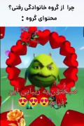 وقتی میگن چرا از گروه خانوادگی..