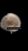 ولی اون آرزو.....................