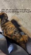 🥺😺 ‌‌‌ ‌‌‌
