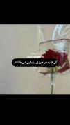 زیبایی گل >>>> ‌‌‌‌‌‌‌‌‌‌‌‌‌‌‌‌‌