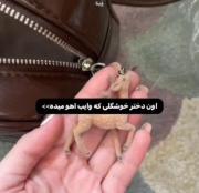 مخاطب ؟ ‌‌‌‌‌‌‌‌‌‌‌‌‌‌‌‌‌‌‌‌‌‌‌