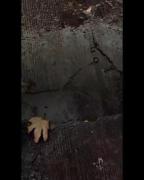 مــیــرهـ قــلــبــمـ بــراتـــ