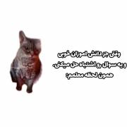 حق تر از این🦦🦦‌ ‌