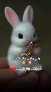 این منم وقتی پیامت میاد رو گوشیم... ☺️