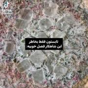 خیلی خوبه‍ــــــ🤏🗿‌ ‌‌ ‌‌ ‌‌ 