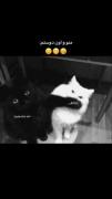 من و اون رفیـقم😝😂‌‌_________