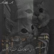 روزی که باهات حرف زدم رو یادم نمیره😭🥹