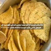 از عشق به سیب زمینی هر چی بگم کم گفتم