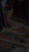 من از وحشت روزگارم به آغوش تو پر کشیدم🥀