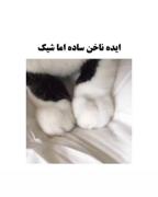ایده ناخن ساده اما شیک و ناناسیییی