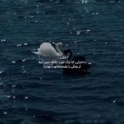 ولی رنگ آبییییییییییییییییی🫠🎀