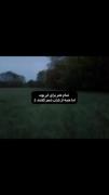 تمام هنر برای ابر بود اما همه از باران شعر گفتند..★ 