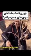 جوری که شب امتحان درس ها رو جمع 