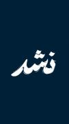 نشد که از دلم.. جدا کنم تورو.. 