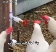 وای فقط اونجاش که میگه بیا ادت کنم گروهمون 😂😂