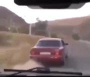 عید قربانتون مبارک خوشگلا 🥳🥳🥳