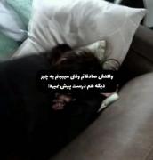 خوابم میبره.........................................................