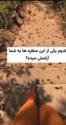 به نظر من که همش زیباست ❤️❤️❤️