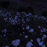 𝓒𝓵𝓲𝓹 ‌ ‌ ‌ ‌ ‌ ‌ ‌ ‌ ‌ ‌ ‌ ‌ ‌ ‌ ‌ ‌ ‌ ‌