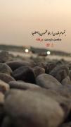 میتوان این ویدیو را استوری کرد 