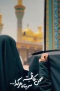 السلام علیک یا باب الحوائج یاموسی ابن جعفر(ع)