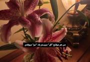 هر موقع گل میبینم یاد تو میوفتم