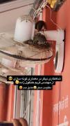 اثری از لانه ساز حرفه ای :کریم خنگول زاده🤣