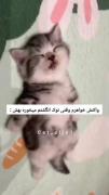 واکنش خواهرم..............🤣🤣