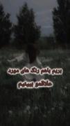 بریم باهم رنگ های مورد علاقمو ببینیم
